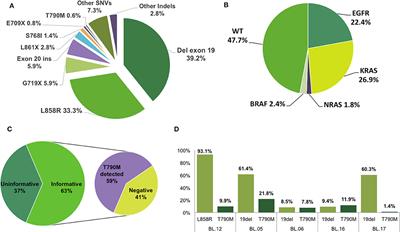 Mutational Portrait of Lung Adenocarcinoma in Brazilian Patients: Past, Present, and Future of Molecular Profiling in the Clinic